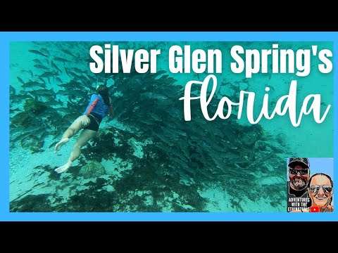 TOP FLORIDA SPRING- Silver Glen Springs-Salt Springs, Florida